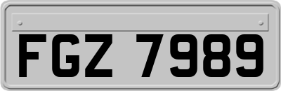 FGZ7989