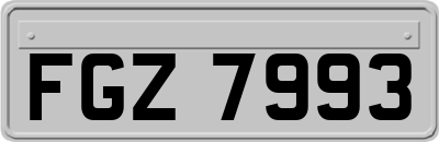 FGZ7993