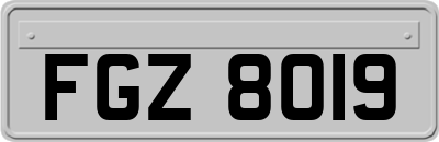 FGZ8019