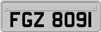 FGZ8091