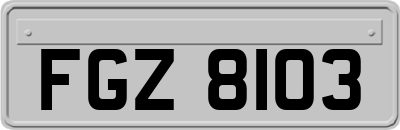 FGZ8103