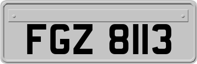 FGZ8113