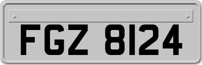 FGZ8124