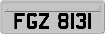 FGZ8131