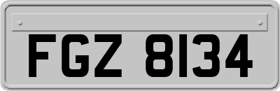 FGZ8134