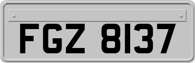 FGZ8137