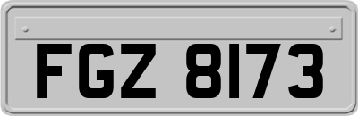FGZ8173