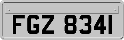 FGZ8341