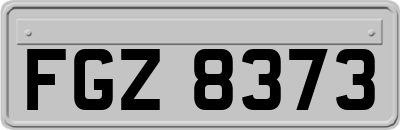 FGZ8373