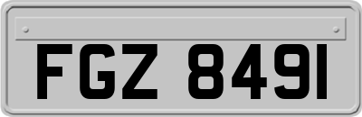 FGZ8491