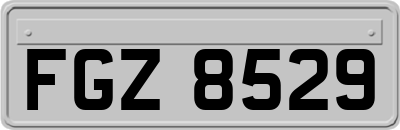 FGZ8529