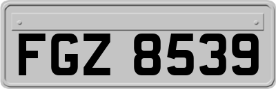 FGZ8539