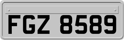 FGZ8589