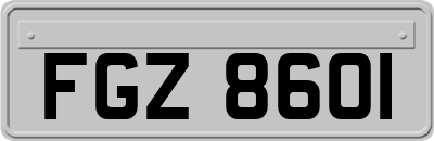 FGZ8601