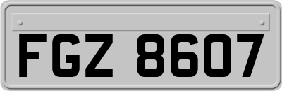 FGZ8607