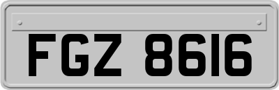 FGZ8616