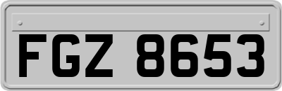 FGZ8653