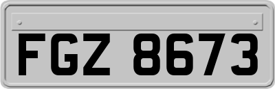 FGZ8673