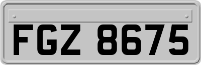 FGZ8675