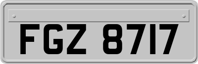 FGZ8717