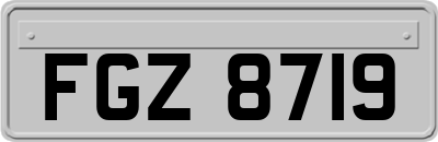 FGZ8719