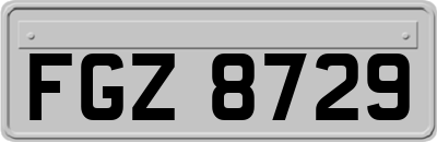 FGZ8729