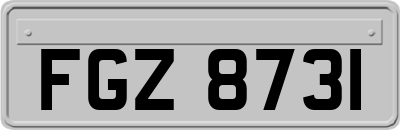FGZ8731