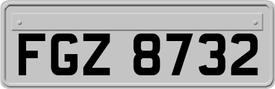 FGZ8732