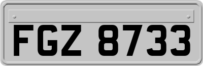 FGZ8733