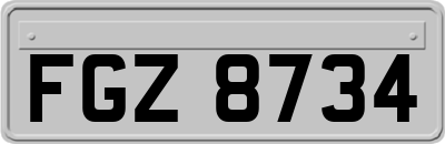 FGZ8734