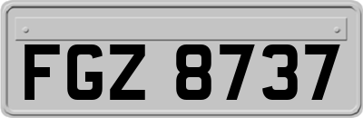 FGZ8737