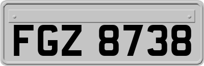 FGZ8738