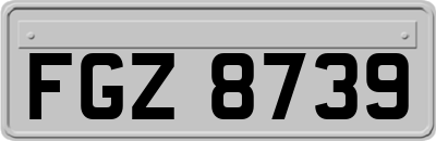 FGZ8739