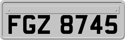 FGZ8745