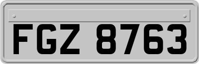 FGZ8763