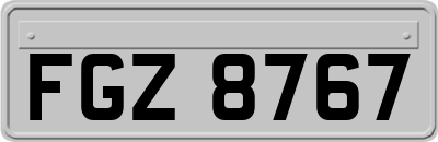 FGZ8767