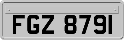 FGZ8791