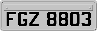 FGZ8803