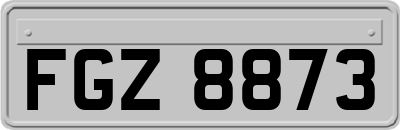 FGZ8873