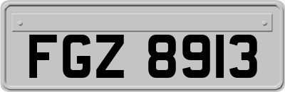 FGZ8913