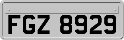 FGZ8929