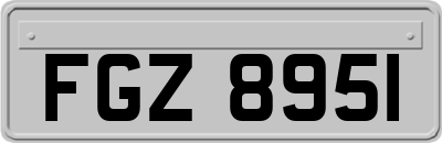 FGZ8951