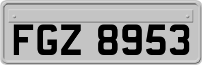 FGZ8953