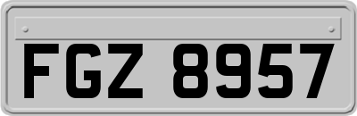 FGZ8957