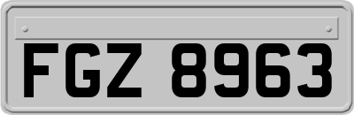 FGZ8963