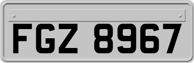 FGZ8967
