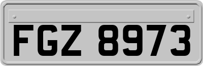 FGZ8973
