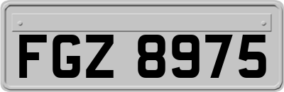 FGZ8975
