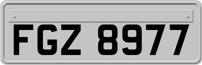 FGZ8977