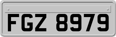 FGZ8979
